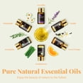 thumbnail image 4 of MAYJAM Classic Essential Oils Set for Diffuser, Humidifier, Aromatherapy, Massage, Skin Care, Candle Making (28 Pack/5mL), 4 of 10