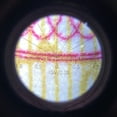 thumbnail image 3 of Microscopio de Bolsillo 50X, Microscopio de Tipo Pluma de Medición Preciso Lupa Ligera Multifuncional para Laboratorio, 3 of 7