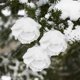 thumbnail image 5 of Bolas de Navidad blancas de 8 cm, adornos para árbol de Navidad, decoraciones navideñas para el hogar, bolas de espuma decorativas para árbol de Año Nuevo 2023, 3 piezas/caja, 5 of 5