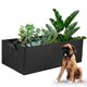 thumbnail image 3 of onlyliua Oferta Por Tiempo Limitado Plantar Plantas En Jardín, Cultivar Plantas En Plantas, Cultivar Plantas En Plantas, Tela, 3 of 7