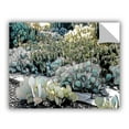 thumbnail image 2 of ArtAppealz Linda Parker "Botanical Garden" Removable Wall Art, 2 of 2
