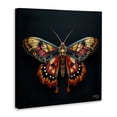 thumbnail image 4 of Stupell Industries Vivid Patterned Moth Animals & Insects Painting Gallery Wrapped Canvas Art Print Wall Art, 17 x 17, 4 of 8