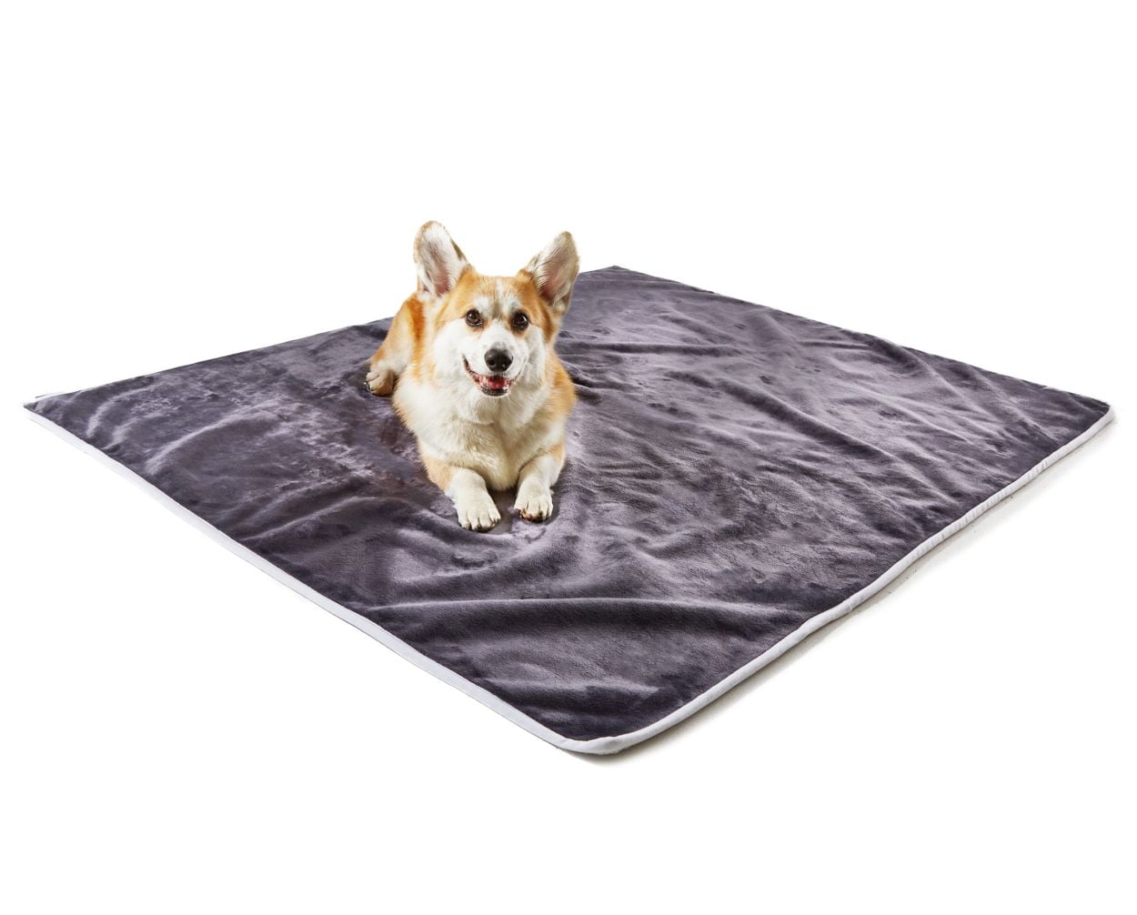 PAW Dog Blanket Waterproof Throw Blanket for Pets 60L X 50W inches