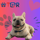 thumbnail image 3 of PLACA DE IDENTIFICACIÓN INTELIGENTE PARA MASCOTAS QR PARA PERRO GATO- BULLDOG FRANCES ETIQUETA DE IDENTIFICACIÓN ACCESORIOS DIJE PARA COLLAR DE MASCOTA (AZUL, CAFE), 3 of 9