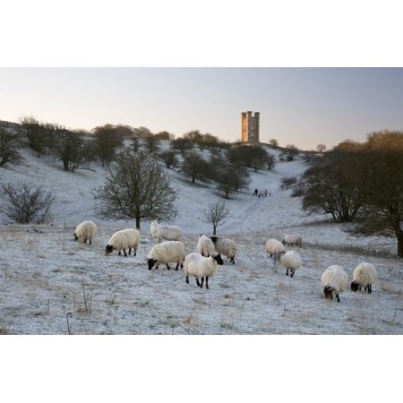 Broadway Tower and Sheep in Morning Frost, Broadway, Cotswolds, Worcestershire, England, UK Print Wall Art By Stuart