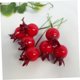 thumbnail image 5 of BRIGHTFUFU 50Ud Pomegranate Prop Para Duradera En Muestras Y Escenarios, 5 of 8