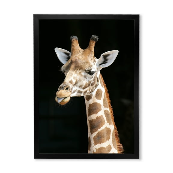 Designart 'Close Up Portrait Of A Giraffe On Black III' Farmhouse Framed Art Print