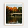 thumbnail image 2 of Bow Bridge in Autumn, Central Park - Manhattan New York Photography Autumn Bridge Boat Scenic Nature Water Landscape Unframed Wall Art Print 9 x 12 inches, 2 of 13