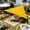 C, variant on Triangle Waterproof Sun Shade Sail, UV Block Canopy Cloth Shelter Cover 95%, Outdoor Awning for Patio Garden Backyard Deck(2x2x2 m)