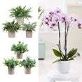 thumbnail image 3 of Wosthever 3 piezas experimentan la belleza de las flores artificiales en el hogar, elegante, fácil de limpiar, decoración del hogar ecológica Decoración TZ058, 3 of 6