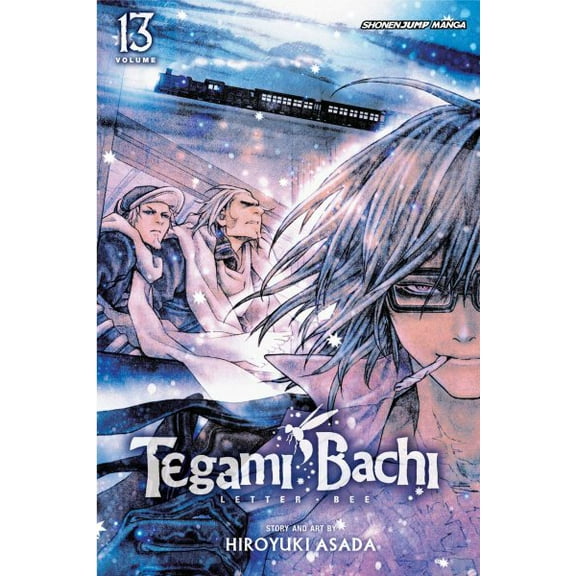Tegami Bachi: Tegami Bachi, Vol. 13 (Series #13) (Paperback)