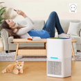 thumbnail image 2 of Small Dehumidifier Home Air Dyer Large Indoor US Plug, 2 of 5