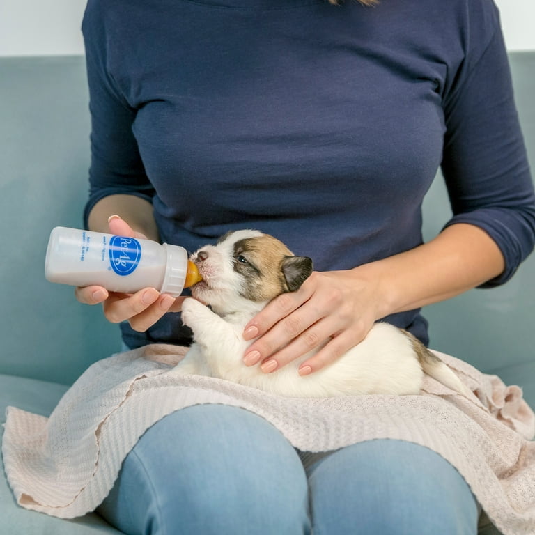 Puppy milk store replacer walmart