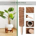 thumbnail image 5 of Moss Pole - 20 Inch Coir Totem Plant Support - 3 Coco Sticks for Climbing Indoor Potted Plants - 50 Paper Twist Ties - Monstera ，Philodendron， Pothos ，Creeper House Plants Grow, 5 of 9