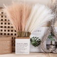 thumbnail image 3 of Ramo de hierba de Pampas Artificial para decoración del hogar, plantas de simulación, flores falsas, 10/1 piezas, 55cm, 3 of 4