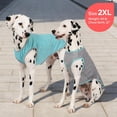 thumbnail image 4 of KYEESE 2 Pack Dog Shirts, Quick Dry Soft T-Shirt for Small Medium and Large Dogs, Grey+Blue, 3XL, 4 of 9