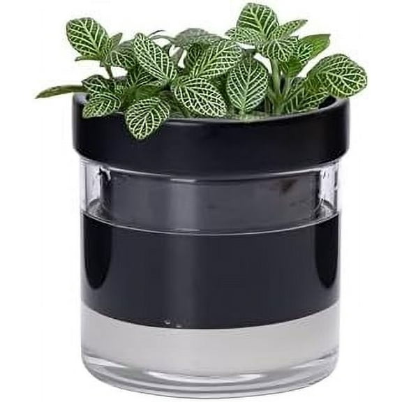 4 Inch Self Watering Terracotta Planter, Black Terracotta Clay Pot with Glass Reservoir for Indoor Plants, Herbs, Flowers, Set of 1, 52-C-E-1