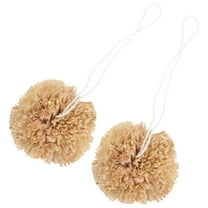 HONITANO Chinchilla Chew Toy Corn Leaves 2Pcs 2.8In