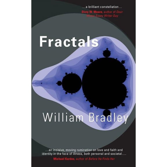Fractals (Paperback)