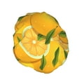 thumbnail image 2 of Balery Yellow Limes Shower Caps, Double Layer Waterproof Shower Cap, Double Layers Reusable Shower Cap With Soft Comfortable For Long Thick Hair Soft Bath Shower Hair Caps, 2 of 9