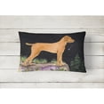 thumbnail image 2 of Carolines Treasures SS8478PW1216 Starry Night Vizsla Decorative   Canvas Fabric Pillow 12H x16W multicolor, 2 of 3