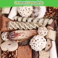 thumbnail image 2 of Caja de forrajeo natural Kyouki de Bird Toys para periquitos, etc., 2 of 7