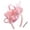 Pink, variant on Linfrsh Fascinators Headbands for Women Tea Party, Derby Hat Flower Mesh Ribbons Feathers Headband for Girls Purple,One Size