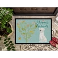 thumbnail image 3 of Welcome Friends White Boxer Door Mat, 3 of 4