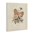 thumbnail image 2 of Stupell Industries Cottage Flower Bouquet Vintage Blossoms Canvas Art, 16 x 20, by Dan Meneely, 2 of 8
