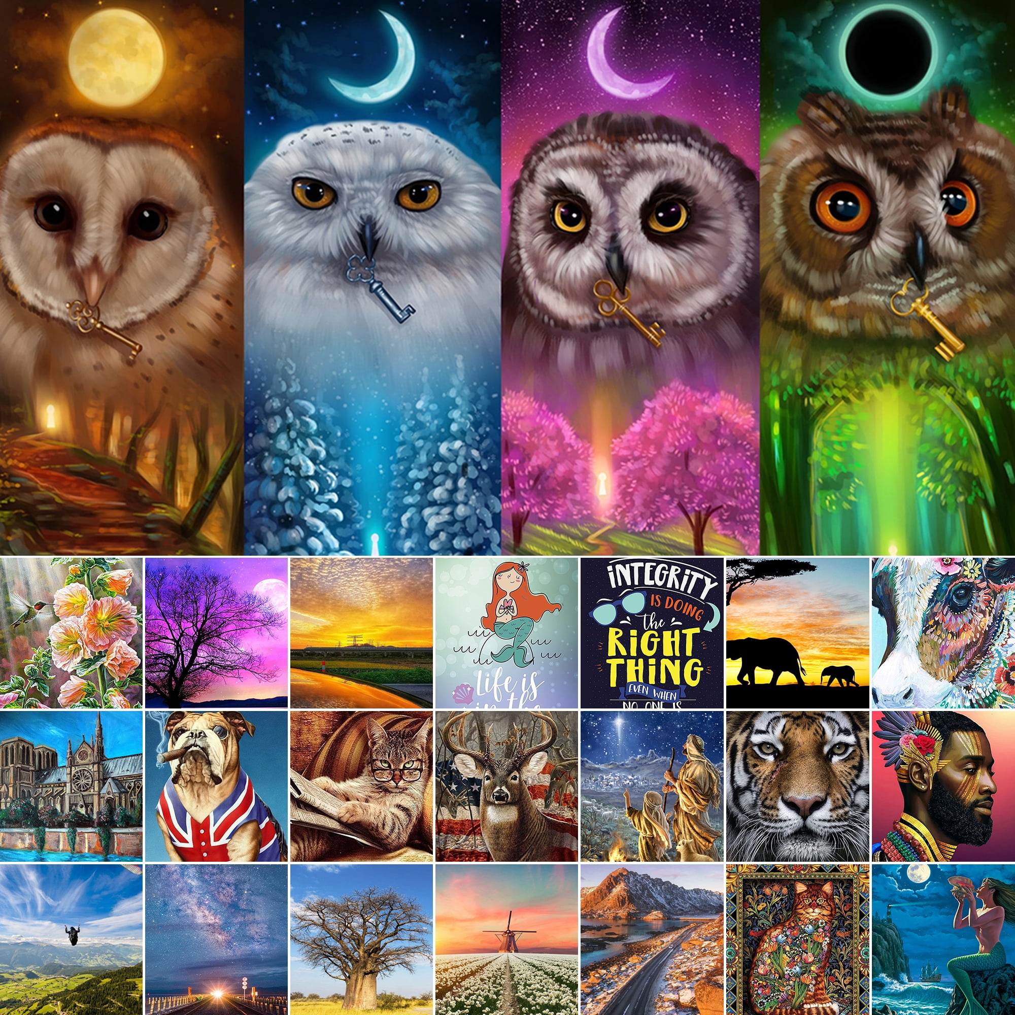 DIY Diamond Painting for Adult Full Square Drill Paint with Diamonds