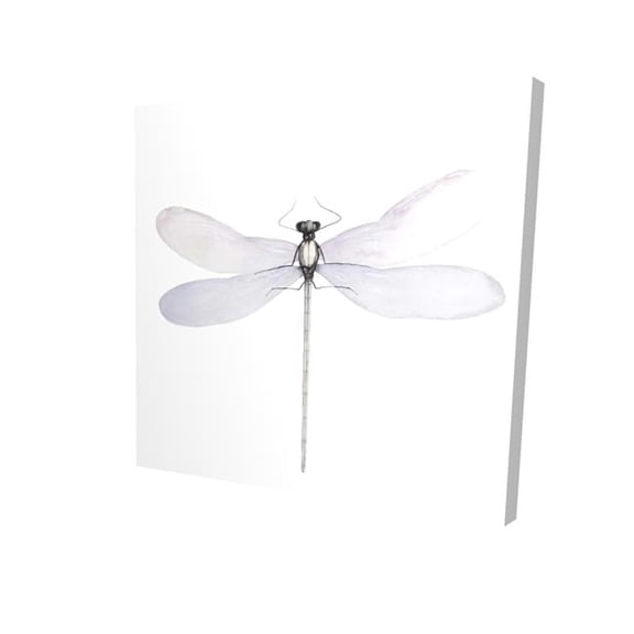 Begin Home Decor 2080-1616-AN459 16 x 16 in. Delicate Dragonfly-Print on Canvas