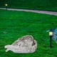 thumbnail image 4 of Colección de estatuas de perro / gato de ángel rdín, resina y piedra decorativa para jardín, regalo para el hogar, decoración al ai Macarena estatua de ángel, 4 of 8