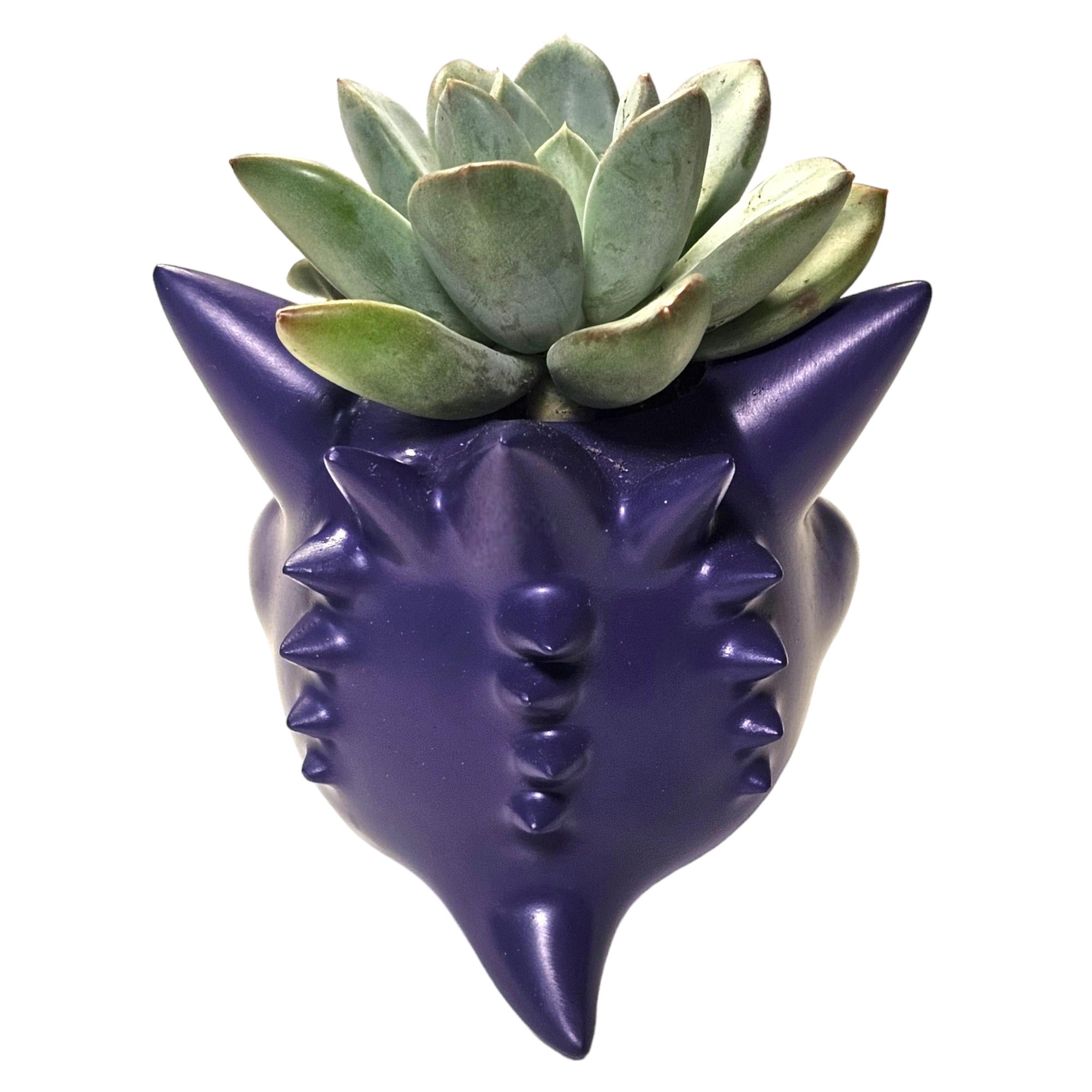 Gengar Planter Pot – 5 Inch | Fun Pokemon Succulent Pot with Drainage Hole