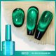 thumbnail image 1 of Teissuly 12D Gel Nail Polish Magnetic Gem Cat's Eye Gel Nail Polish With Effect 7.5ml Teissuly WER202401223039, 1 of 2
