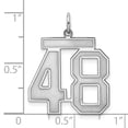 thumbnail image 2 of Sterling Silver/Rhodium-plated Satin Number 48 Charm Q-QPP48, 2 of 2