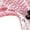 Pink, variant on Womens Lingerie Sexy Lace Thong Briefs Soft Comfortable Stylish Daily Lingerie Black One Size