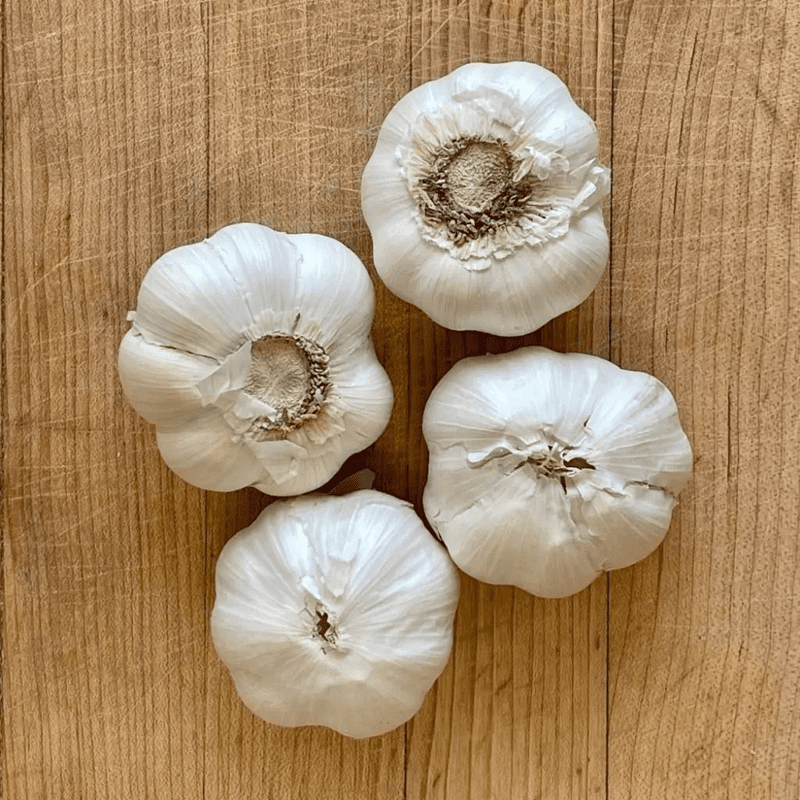 4 White Medium Bulbs Softneck Garlic, Softneck Garlic Bulb, Ideal for Planting Outdoor