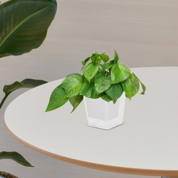 ETEREAUTY Compact White Plastic Planter with Self Watering Feature for Indoor Vegetable and Flower Growth