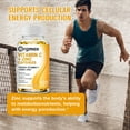Orgmax Vitamin C 1000mg and Zinc 20mg Antioxidant Supplements for