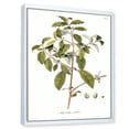 thumbnail image 3 of Designart 'Ancient American Flora IV' Traditional Framed Canvas Wall Art Print, 3 of 5