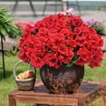 thumbnail image 4 of Artificial Geranium Flowers, Ongmies Artificial Geranium Flower Bundle – Faux Outdoor & Indoor Plants for Garden, Home, Kitchen & Table Centerpiece Decor, Home Kitchen Table Centerpieces Decor, 4 of 7