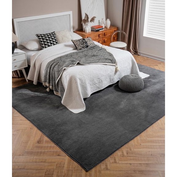 Lahome 4x6 Washable Fluffy Rug for Bedroom, Soft Shag Rug Rugs for Living Room,Fuzzy Carpet for Nursery Living Room Teen Dorm,Gray