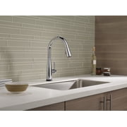Delta Essa Single-Handle Pull-Down Kitchen Faucet - 9113T-DST - Chrome