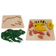thumbnail image 1 of 2pcs Juguete de Rompecabezas de Animales Modelo de Rana/ de para Desarrollo de Inteligencia de Baoblaze Juguete de rompecabezas de madera, 1 of 6