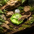 thumbnail image 2 of Reptile Automatic Water Dispenser, Self-Filling Terrarium Water Bowl Pet Drinking Feeder for Lizard Snake Small Reptiles, 2 of 6