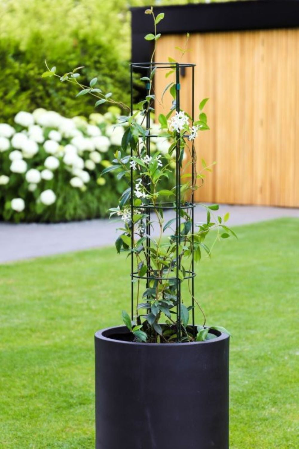 Pot Trellis Deco S – Set of 2 Elegant & Durable Support for Potted Plants