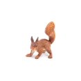 thumbnail image 4 of Figura Papo Wild Animal Kingdom Squirrel 50255 para niños a partir de 3 años Papo Papo, 4 of 7