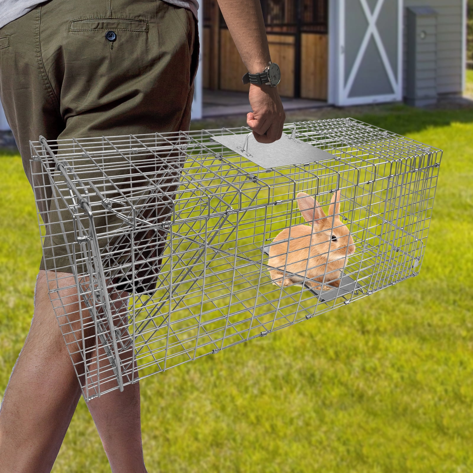 PRIJESSE 31inch Foldable Humane Live Animal Trap Cage for Squirrel, Rat, Bunny, Mink, No-Kill Bait Trapping Kit, Catch & Release, Silver