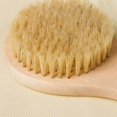 thumbnail image 4 of 2025 Latest Model Dry Bath Body Brush Back Scrubber 9.84", Short Handle Natural, 4 of 5