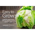 thumbnail image 3 of Snowball Y Improved Cauliflower Seeds, 3 of 7